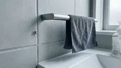 クモが怖いのは弱さじゃない：脳の注意バイアスと“慎重さ”が武器になる理由