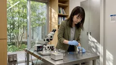 室温のまま凍る？ 超高圧で水が見せた新相「氷XXI」