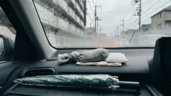 冬の朝のフロントガラス曇りが気になる:猫砂で始める車内の簡単除湿(置き方と交換目安)
