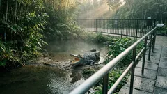 川辺で口を開けたまま動かないワニ――威嚇でも眠気でもない「本当の理由」と見分け方