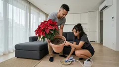 秋の室内で鉢花を長く楽しむ方法。涼しさに強い3種と「光・水」のコツ