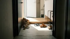 2026年に選ぶべきサンダル:70年代回帰の「当たり型」5モデルと、失敗しない合わせ方