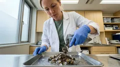 永久凍土で眠っていた4万8,500年前の巨大ウイルスが目覚めた――氷が解けると何が起きるのか、数字で読む