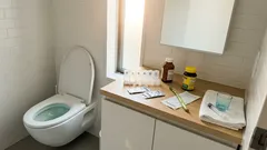 尿が緑っぽく見えたら:まず確認したい4つの原因と受診の目安