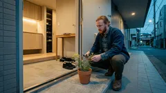 ルー（ヘンルーダ）が家で花を咲かせたら？玄関まわりの“気”に起こる変化と、枯らさない手入れ