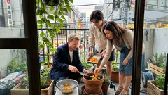 オレンジの皮、捨てる前に|鉢植えの土づくりと虫よけに“少しだけ”効かせるコツ