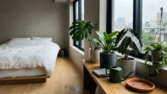 寝室が整う、2026年の観葉植物トレンド4選:置き場所と水やりでつまずかないコツ