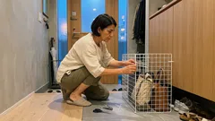 100均ワイヤーラティスで玄関バッグの定位置づくり、5分で形になる「掛ける収納」DIY【工具なし】