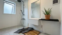 浴室にアロエベラを置いても大丈夫?換気と光・水やりで失敗しない育て方の基本